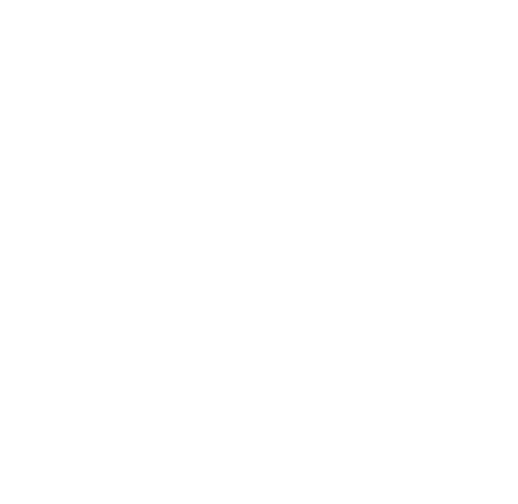 Balkan Nomads logo